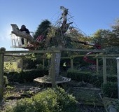 IMG_1549