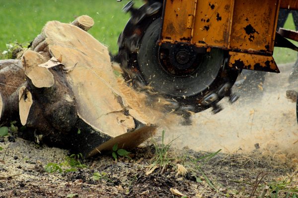 Stump Grinding Stump Grinding